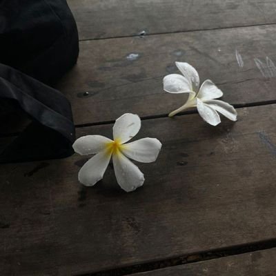 blinkbear0_0's profile picture. 