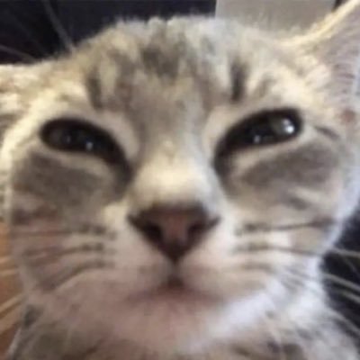 ow_klong's profile picture. 