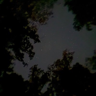 E_rz_y's profile picture. 19