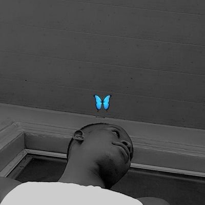 DannyPetew's profile picture. 