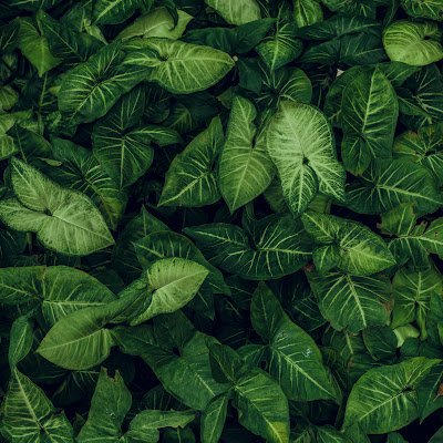 CastroVini94055's profile picture. 