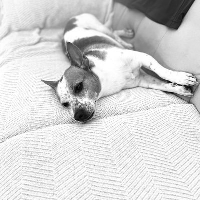 DavidTinoko's profile picture. si la muerte nos sonrie, devolvamosle la sonrisa