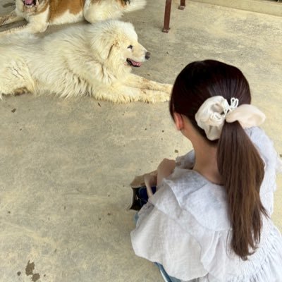 m_1000740008's profile picture. RUNTEQ74期Aクラス/ITパスポートFP3級 宅建取得の為細々と勉強中です📖📚/無言フォロー失礼します🙏