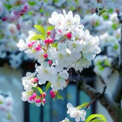 @Gulshan41496797