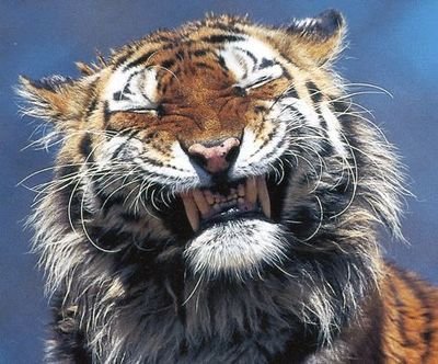 TalantBaisal's profile picture. One cup of economics, please!