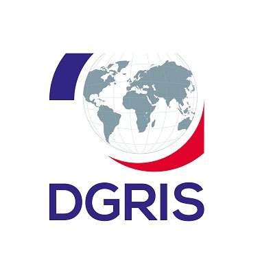 DG_DGRIS's profile picture. Compte officiel de la direction générale des relations internationales et de la stratégie (@DGRIS_FR) du ministère des Armées 🇫🇷