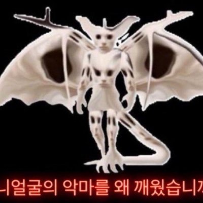 alon83172665699's profile picture. 