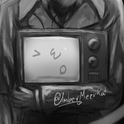 AmberMeerkat's profile picture. -14 y/o
-No NSFW, DON'T even THINK about sending NSFW through DMs.
-no reposting and using art without credit.
he'll never escape