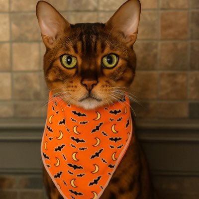 TattedHeroes's profile picture. Tattooed • Mixer Streamer • Xbox Gamer • Texas