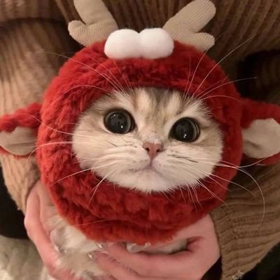 Y5746139's profile picture. 