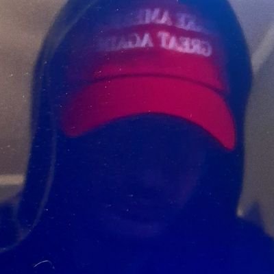 thefoxyhyena's profile picture. Researcher | Analyst | Christian | 🇺🇸 | 2A