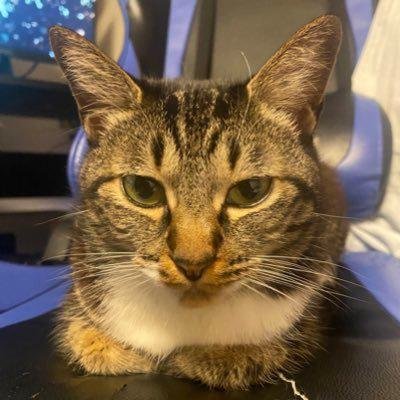 ptlej83256995's profile picture. アニメ ゲームが好きな人です、やっているゲーム モンスト ぷにぷに コンパス スマブラ スプラ フォトナ NIKKE 雀魂 ドッカン