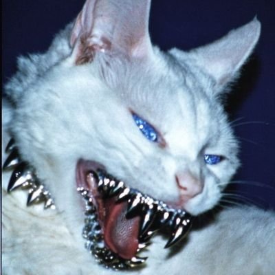 Iqrayudhaa's profile picture. whatever the difficulty there is ease