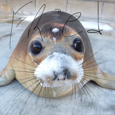 leum1_'s profile picture. 