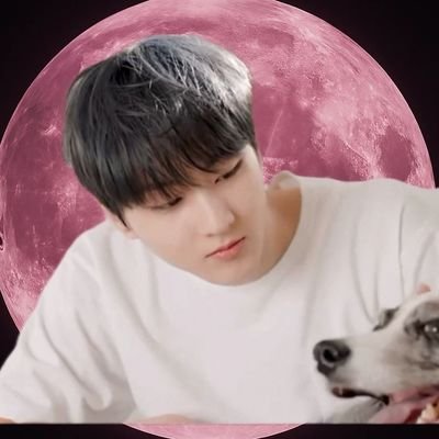 Mydaxjjp's profile picture. ◡̈ Your smile melts my heart.♡Jungաon
