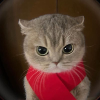 ykarinae's profile picture. 各種アプリの石販売や、ドッカンバトル、レジェンズ代行＆ツムツム代行も承っております。ご相談・ご購入希望の方は、DMまでお気軽にお問い合わせください！取引実績はこちら →【＃みのむち】各種石の詳細や利用規約はこちら→【https://t.co/O1mLLqYPzN】 ◎ 各種メニュー&石垢の取り扱い一覧はこちらから！