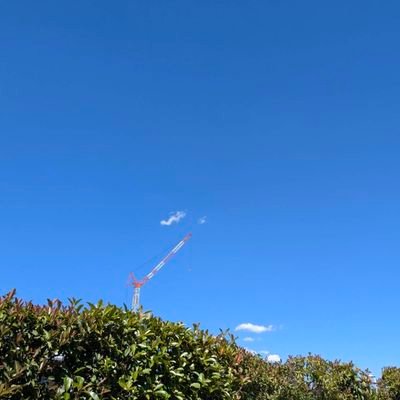 kacia_472's profile picture. 