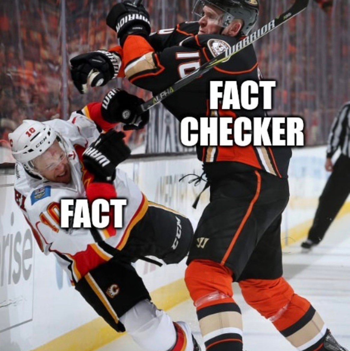 trenchentinsite's profile picture. real human beans 🫘