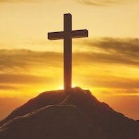 McParis83's profile picture. je n’arrive plus à me connecter à mon compte @McParisFr75…. 100% soutien à 🇮🇱 , stop a l’immigration musulmane ! oui à la peine de mort !