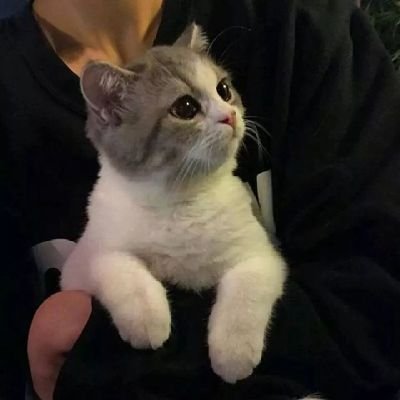 ChenJia93280's profile picture. 