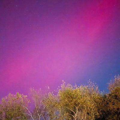 emmyxvgs's profile picture. 