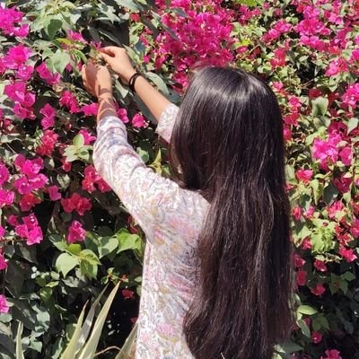 laphingloverr's profile picture. •btech'27 •20 •dsa •webdev •documenting my half btech journey with yapping🎀