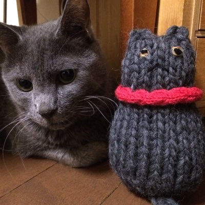 kokagenohituji's profile picture. 