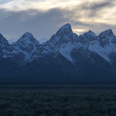 yuhaye45543859's profile picture. 