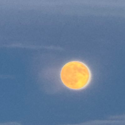 ctvrs93323344's profile picture. 