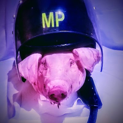 MrDinduNuttin's profile picture. 