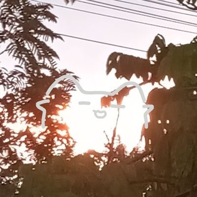 privnut21847's profile picture. trying my best to keep on living