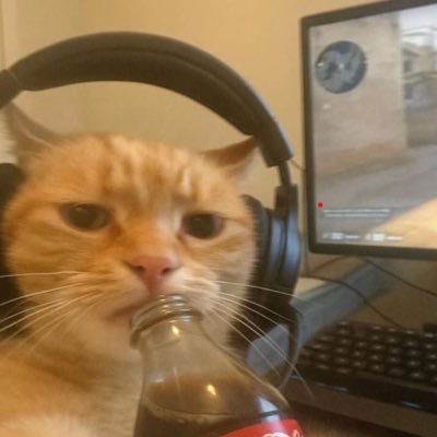 zSxolar_'s profile picture. 