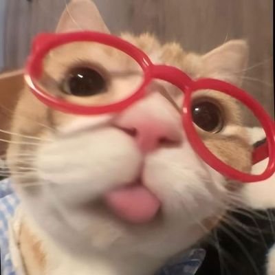 mintvirtue0412's profile picture. 제 모든 트윗의 주어는 노혁입니다