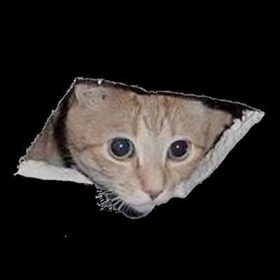 PLAST1C_DEATH's profile picture. 