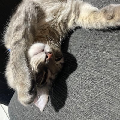 olycanalys's profile picture. 