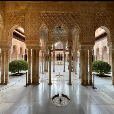 YQoubbane9149's profile picture. يوسف قبان