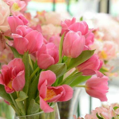 NelGisele9088's profile picture. 