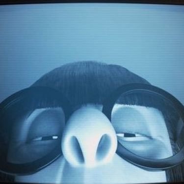 ingridsm19's profile picture. 🔞 🛐 Philoise fan 🌻 Chris Fulton fan🛐