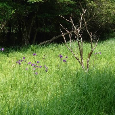 kirratobi77's profile picture. Love movie, drama, music.  
8964天安門