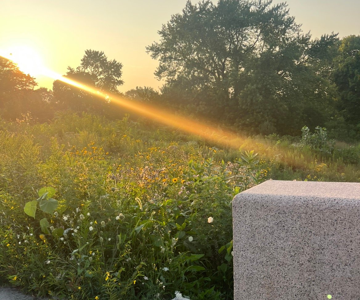 Neneuzl's profile picture. 