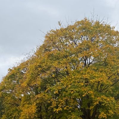 ibg23165's profile picture. 