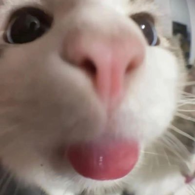 brbscami's profile picture. 