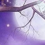 ndia6etw's profile picture. 
