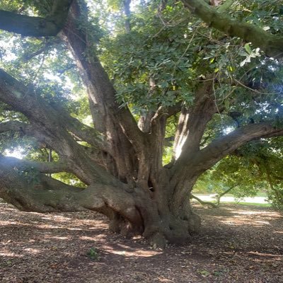 giles_fraser's profile picture. Vicar of St Anne’s, Kew. Presenter of Beyond Belief @bbcradio4. Moral Maze. Left Cavalier. Smells and bells. Chelsea FC עם ישראל חי