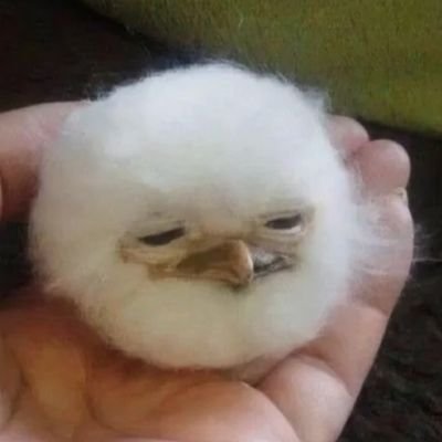 荞麦面包人さんのプロフィール画像