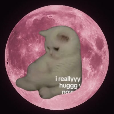 mayistealurhrtz's profile picture. 