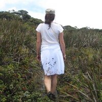 Bobi Lyon (@kaivalyabound) 's Twitter Profile