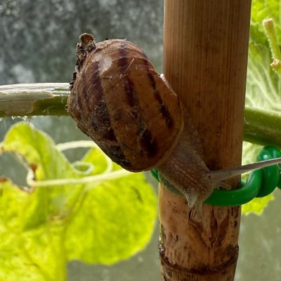 Bobsmiz1948's profile picture. 