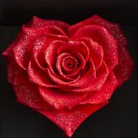 奏愛🪞𝕂𝕒𝕟𝕒𝕖 ^_^🏹💙✈️ (@ktt313stysz) 's Twitter Profile Photo