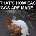 neil todd - @Toddyontop - Twitter